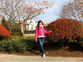 七星彩开奖结果