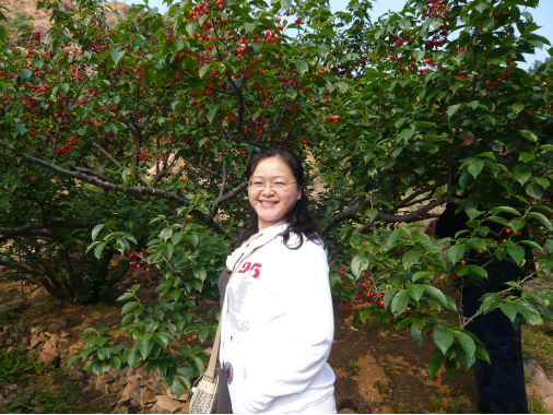 七星彩开奖结果